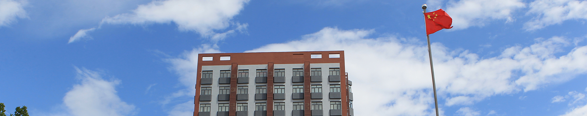 金年会(中国)官方网站入口